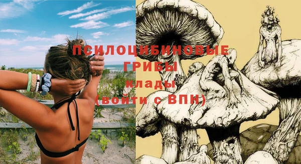 герыч Алексин