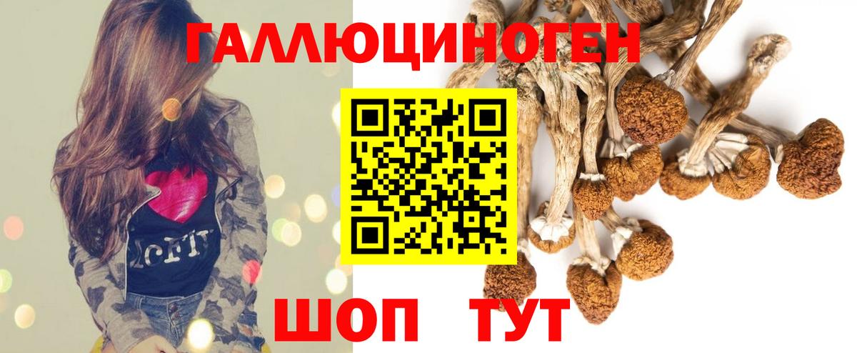 Галлюциногенные грибы MAGIC MUSHROOMS Котельники