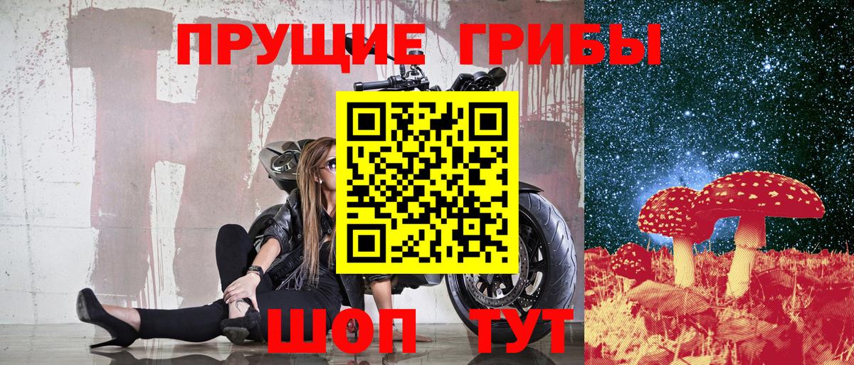 Псилоцибиновые грибы Cubensis  закладки  Котельники  Вход с VPN 