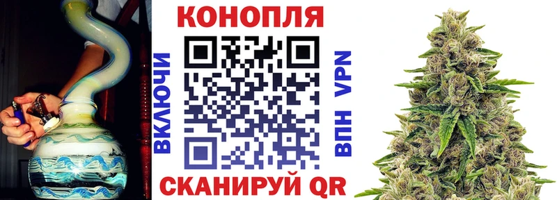 Бошки Шишки MAZAR  Котельники 